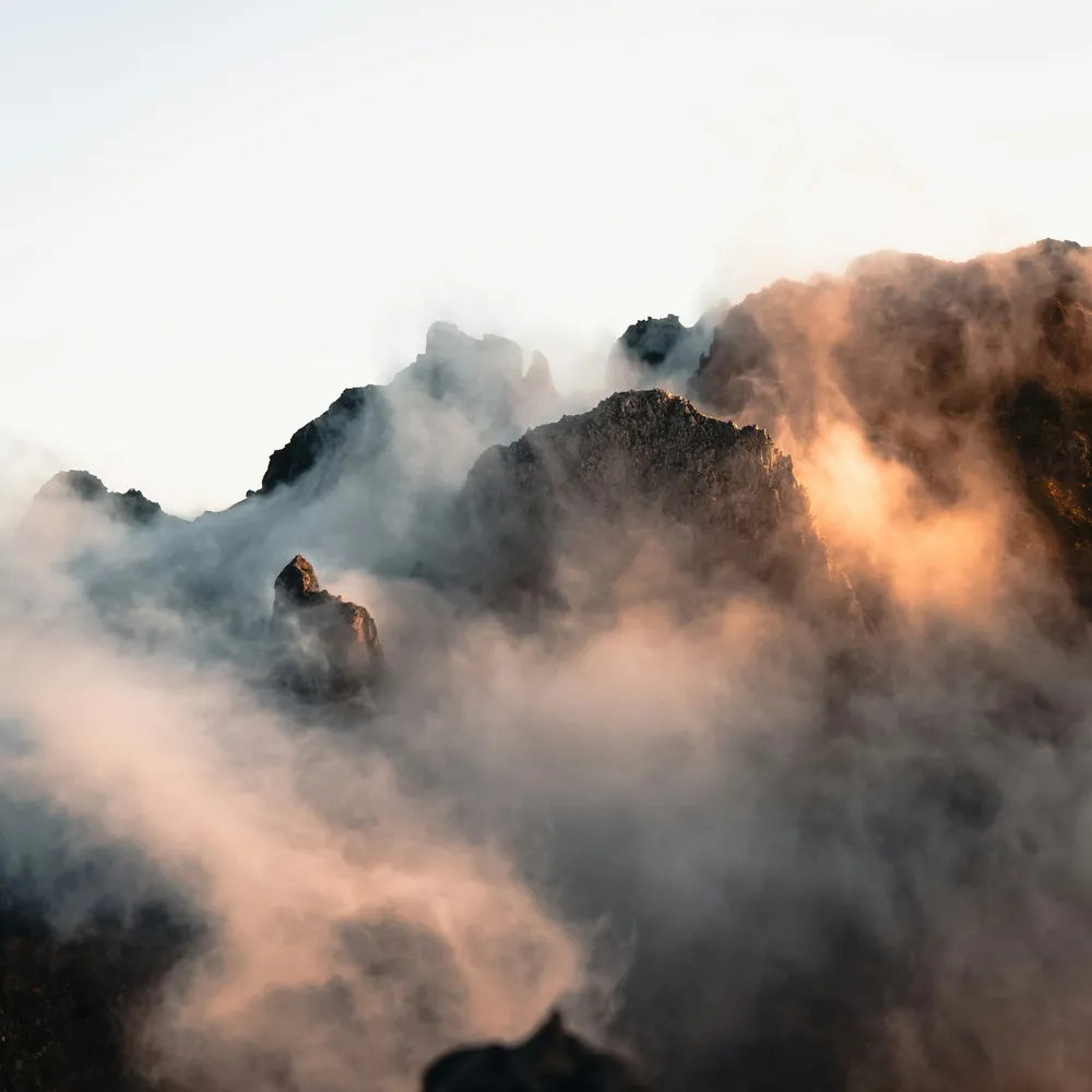 Rolling hills bathed in soft sunset light